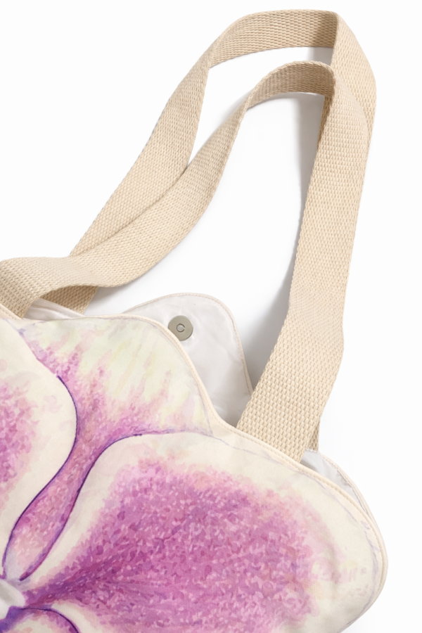 orchid1iman Phalaenopsis