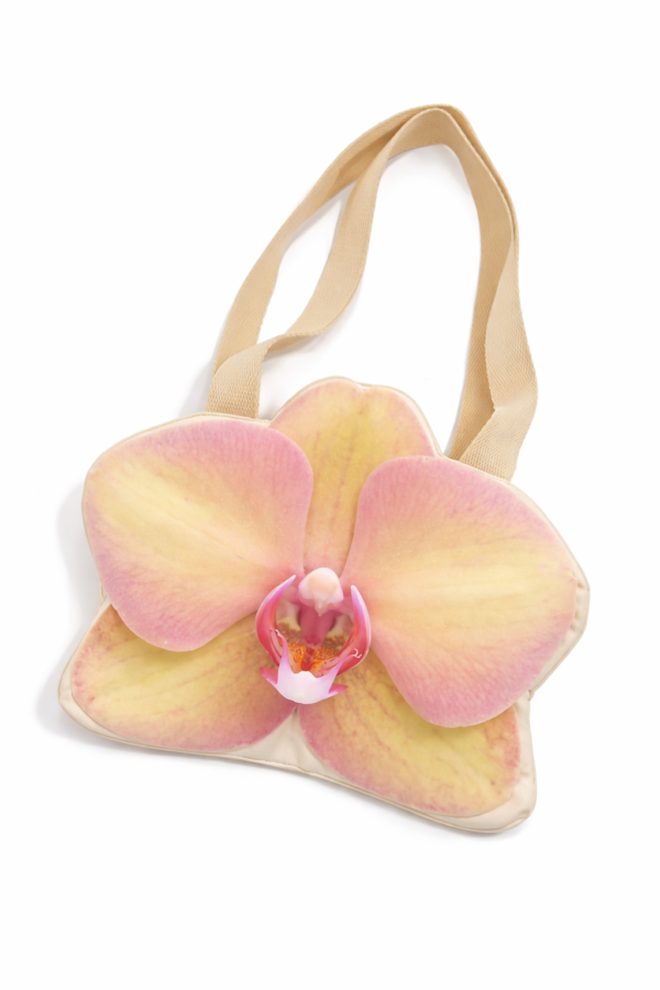 ChatGPT Image 24 feb 2026, 04_30_32 p.m. Phalaenopsis Gold