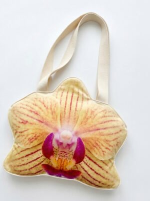 Phalaenopsis Ámbar