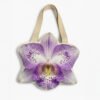 Phalaenopsis Nebula