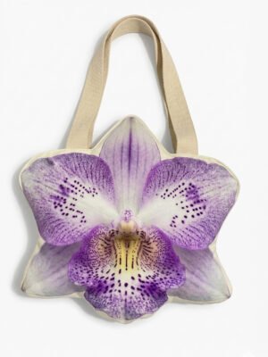 Phalaenopsis Nebula
